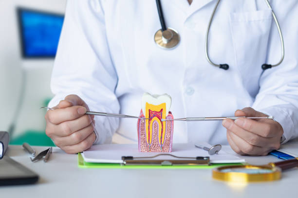 Best Emergency Dental Services for Seniors in Shady Cove, OR
